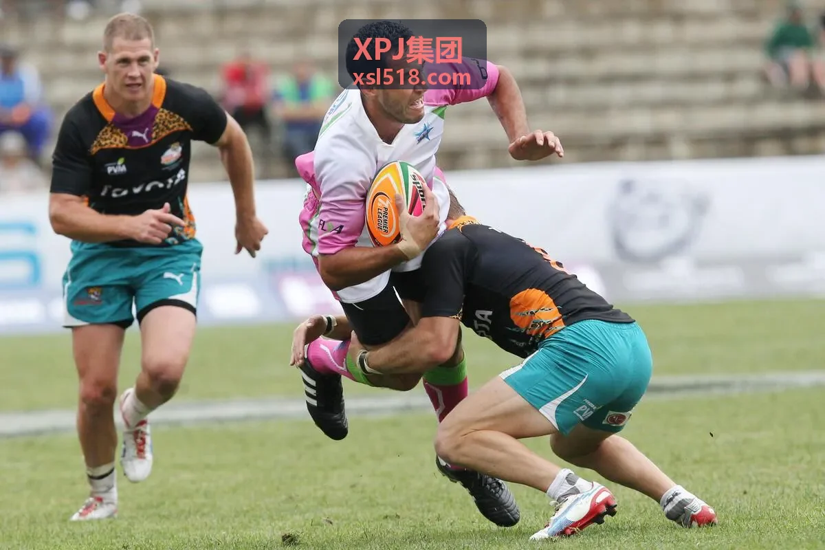 XPJ集团数字基建案例